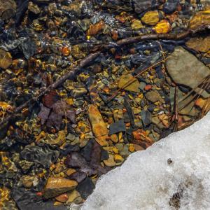 Photo #14 of 14.07 ac CREEK BED LN, FULKS RUN, VA 14.1 acres