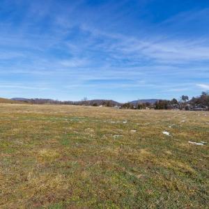 Photo #10 of 14.07 ac CREEK BED LN, FULKS RUN, VA 14.1 acres