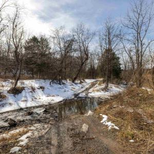 Photo #12 of 14.07 ac CREEK BED LN, FULKS RUN, VA 14.1 acres