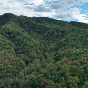 Photo #2 of TBD DAVIS CREEK LN, LOVINGSTON, VA 11.0 acres