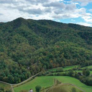 Photo #3 of TBD DAVIS CREEK LN, LOVINGSTON, VA 11.0 acres