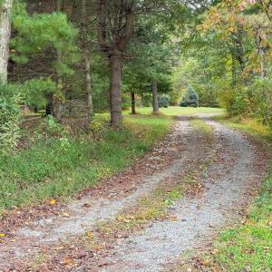 Photo #5 of TBD DAVIS CREEK LN, LOVINGSTON, VA 11.0 acres