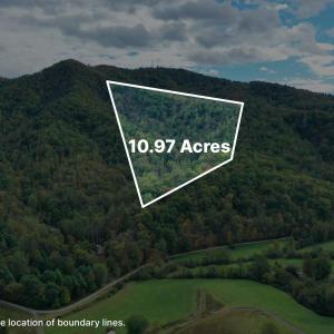 Photo #1 of TBD DAVIS CREEK LN, LOVINGSTON, VA 11.0 acres