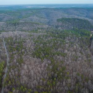 Photo #33 of TBD CARTER RD, SCHUYLER, VA 21.0 acres