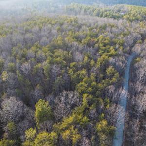 Photo #18 of TBD CARTER RD, SCHUYLER, VA 21.0 acres