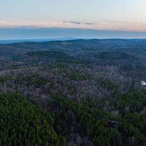 Photo #31 of TBD CARTER RD, SCHUYLER, VA 21.0 acres