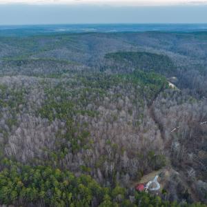 Photo #35 of TBD CARTER RD, SCHUYLER, VA 21.0 acres