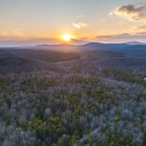 Photo #17 of TBD CARTER RD, SCHUYLER, VA 21.0 acres