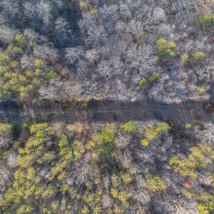 Photo #24 of TBD CARTER RD, SCHUYLER, VA 21.0 acres