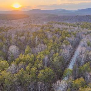 Photo #21 of TBD CARTER RD, SCHUYLER, VA 21.0 acres