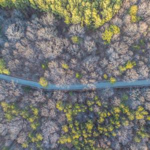 Photo #19 of TBD CARTER RD, SCHUYLER, VA 21.0 acres