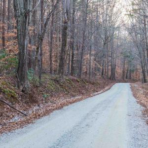 Photo #6 of TBD CARTER RD, SCHUYLER, VA 21.0 acres