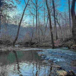 Photo #5 of TBD CARTER RD, SCHUYLER, VA 21.0 acres