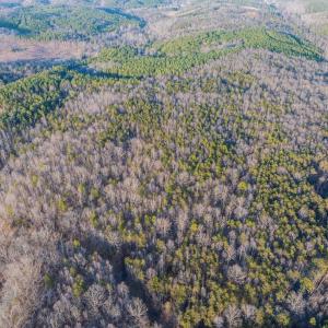 Photo #23 of TBD CARTER RD, SCHUYLER, VA 21.0 acres