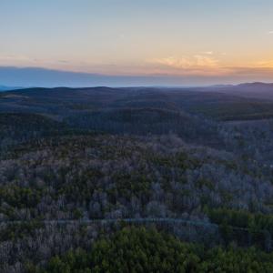 Photo #27 of TBD CARTER RD, SCHUYLER, VA 21.0 acres