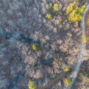 Photo #16 of TBD CARTER RD, SCHUYLER, VA 21.0 acres