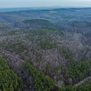 Photo #32 of TBD CARTER RD, SCHUYLER, VA 21.0 acres