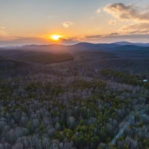 Photo #26 of TBD CARTER RD, SCHUYLER, VA 21.0 acres