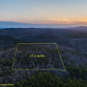 Photo #2 of TBD CARTER RD, SCHUYLER, VA 21.0 acres