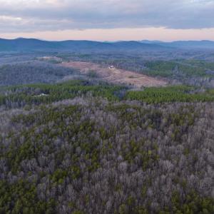 Photo #30 of TBD CARTER RD, SCHUYLER, VA 21.0 acres