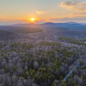 Photo #1 of TBD CARTER RD, SCHUYLER, VA 21.0 acres