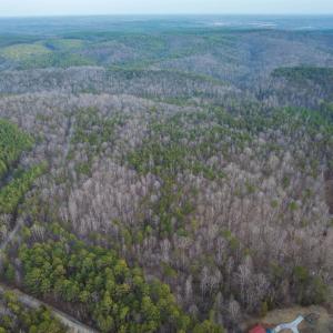 Photo #34 of TBD CARTER RD, SCHUYLER, VA 21.0 acres