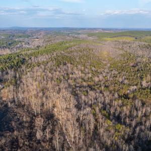 Photo #22 of TBD CARTER RD, SCHUYLER, VA 21.0 acres