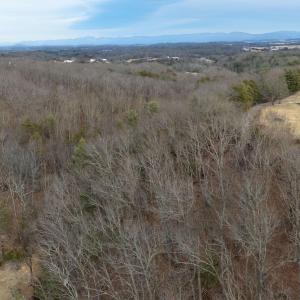 Photo #28 of 577 HAMMOND LN, STAUNTON, VA 42.6 acres