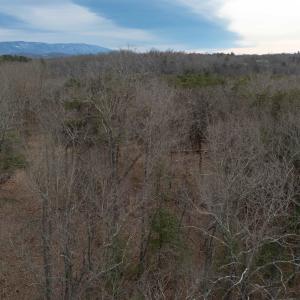 Photo #50 of 577 HAMMOND LN, STAUNTON, VA 42.6 acres