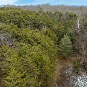 Photo #41 of 577 HAMMOND LN, STAUNTON, VA 42.6 acres