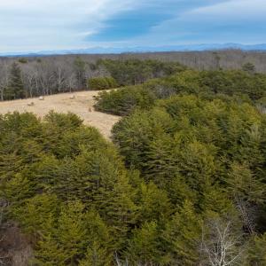 Photo #37 of 577 HAMMOND LN, STAUNTON, VA 42.6 acres