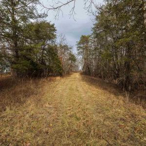 Photo #20 of 577 HAMMOND LN, STAUNTON, VA 42.6 acres