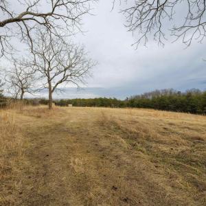Photo #5 of 577 HAMMOND LN, STAUNTON, VA 42.6 acres