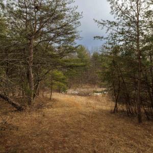 Photo #10 of 577 HAMMOND LN, STAUNTON, VA 42.6 acres