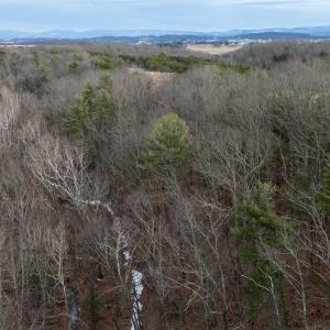 Photo #32 of 577 HAMMOND LN, STAUNTON, VA 42.6 acres