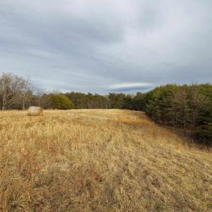 Photo #8 of 577 HAMMOND LN, STAUNTON, VA 42.6 acres