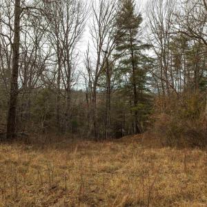 Photo #19 of 577 HAMMOND LN, STAUNTON, VA 42.6 acres