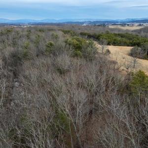 Photo #34 of 577 HAMMOND LN, STAUNTON, VA 42.6 acres