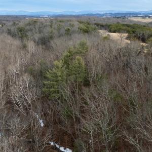 Photo #33 of 577 HAMMOND LN, STAUNTON, VA 42.6 acres