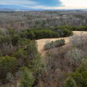 Photo #38 of 577 HAMMOND LN, STAUNTON, VA 42.6 acres