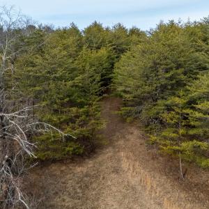 Photo #42 of 577 HAMMOND LN, STAUNTON, VA 42.6 acres