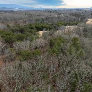 Photo #39 of 577 HAMMOND LN, STAUNTON, VA 42.6 acres