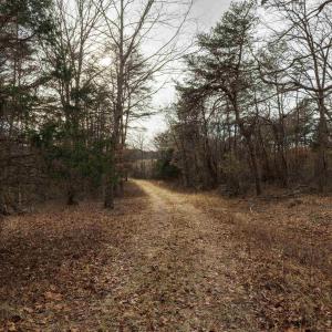 Photo #25 of 577 HAMMOND LN, STAUNTON, VA 42.6 acres