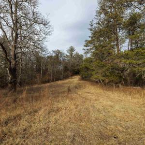 Photo #18 of 577 HAMMOND LN, STAUNTON, VA 42.6 acres