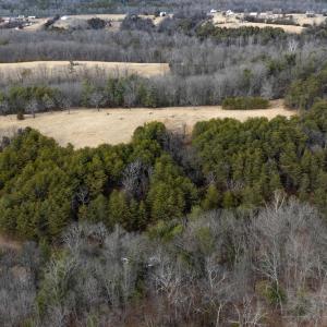 Photo #44 of 577 HAMMOND LN, STAUNTON, VA 42.6 acres