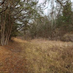 Photo #13 of 577 HAMMOND LN, STAUNTON, VA 42.6 acres