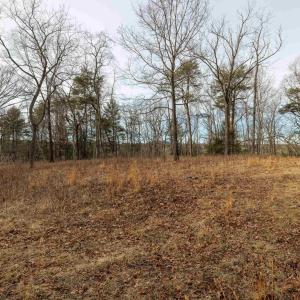 Photo #23 of 577 HAMMOND LN, STAUNTON, VA 42.6 acres
