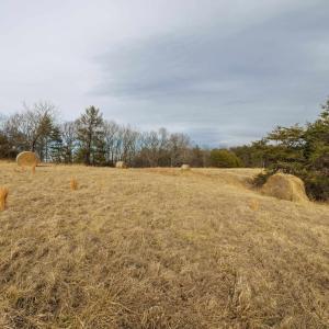 Photo #7 of 577 HAMMOND LN, STAUNTON, VA 42.6 acres