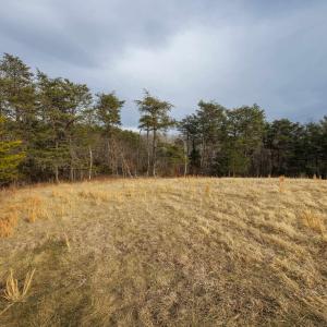 Photo #17 of 577 HAMMOND LN, STAUNTON, VA 42.6 acres