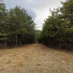 Photo #9 of 577 HAMMOND LN, STAUNTON, VA 42.6 acres